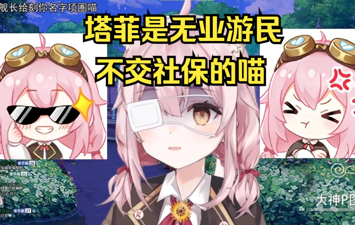 【永雏塔菲】塔菲是不交社保的，反正不会被抓