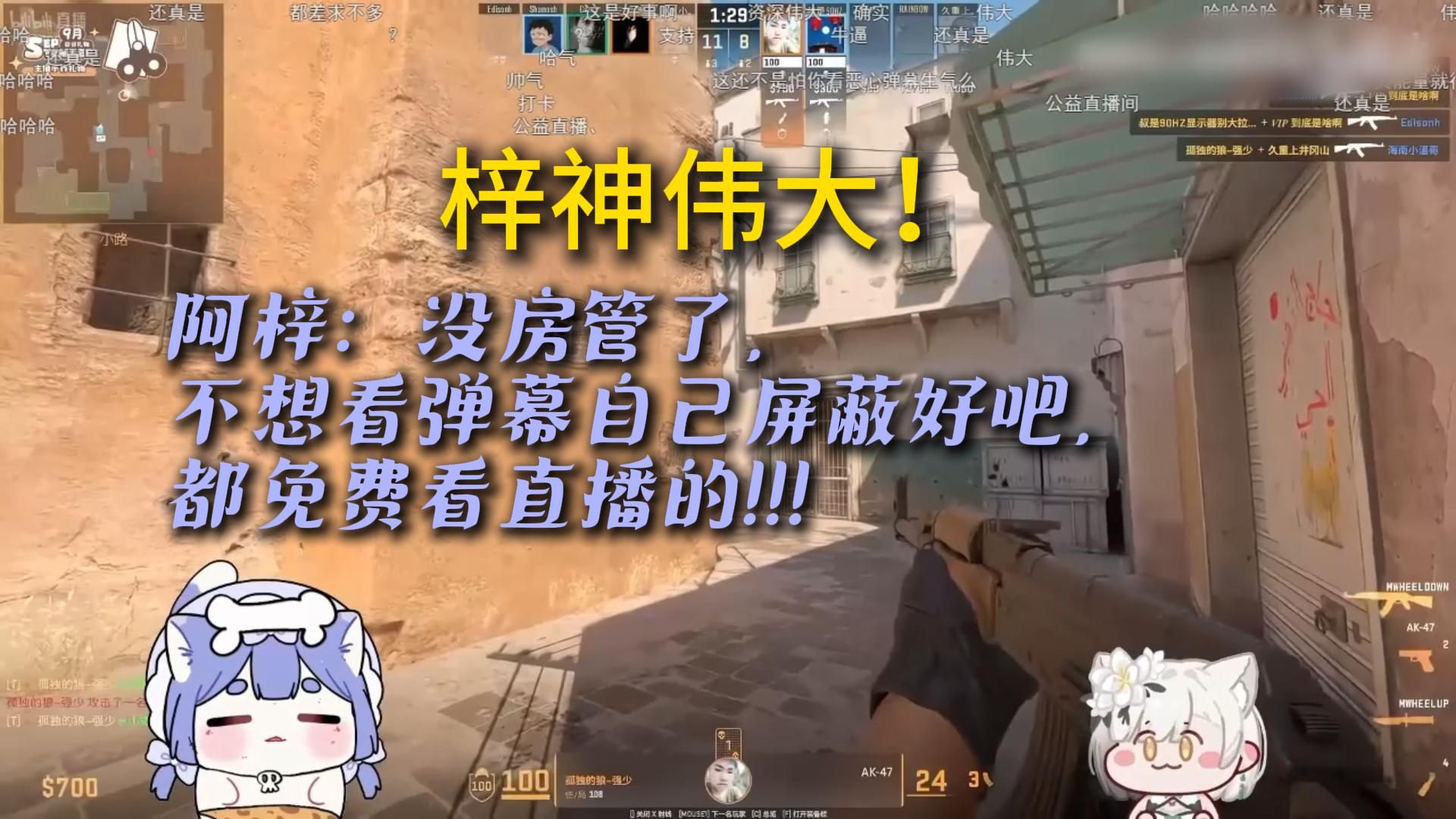 【阿梓直播回放】豹豹猫猫疑似已和好